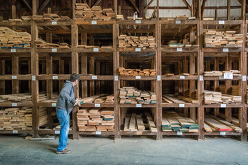 Kingston, NH, US-September 12, 2022: Man choosing lumber in local lumber yard with stacks of hardwoods and softwoods in background. - obrazy, fototapety, plakaty