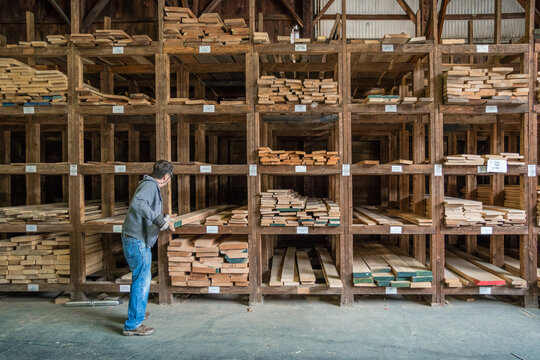 Kingston, NH, US-September 12, 2022: Man choosing lumber in local lumber yard with stacks of hardwoods and softwoods in background.
