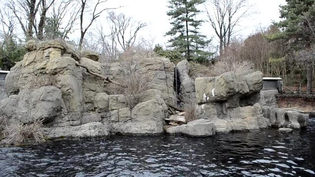 Central Park in New York.