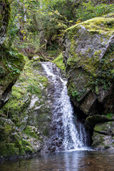waterfall in the forest - lotenbackklamm black forest
