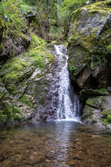 waterfall in the forest