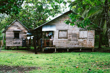 Wooden cabin houses surrounded by rainforest in Costa Rica.