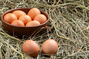 Brown chicken eggs in a bowl on a background of hay. A pair of eggs lies on the hay.