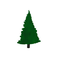 green pine tree watercolor illustration