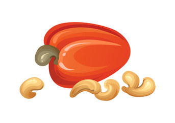 Red cashew nut. Unripe and ripe exotic yellow fruit with green leaves. Cartoon vector illustration