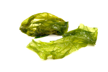Sea lettuce / Ulva lactuca