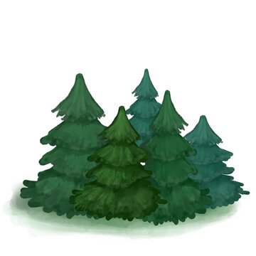 Watercolor fir trees. Hand drawn aquarelle set of pine trees. Outdoor, landscaspe.
