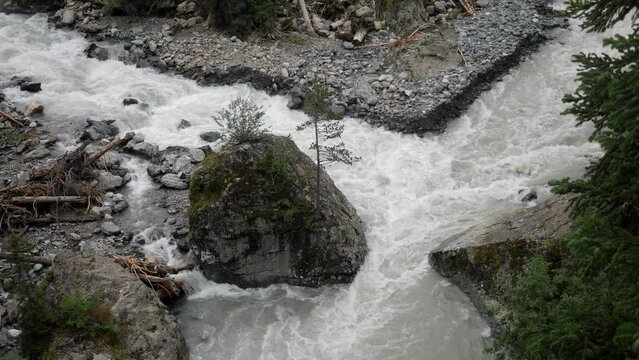 fast mountain river with spruce forest in summer with clouds in Teberda Russia.