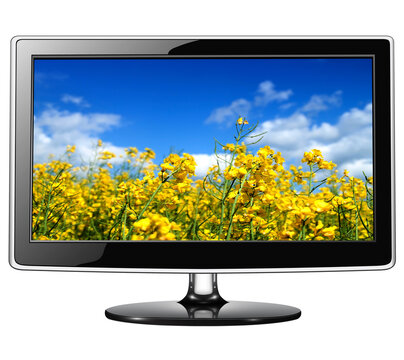 lcd tv monitor isolated on white, realistic computer monitor 3d icon with flowers on screen.