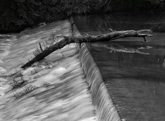 Schwarzweiß - Foto eines großen Astes auf bewegtem Wasser am Rand eines Mühlteiches