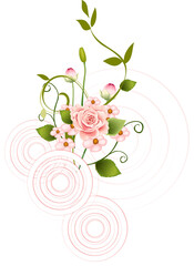 PNG flowers. Vintage floral elements Isolated botanical illustration for a wedding card.