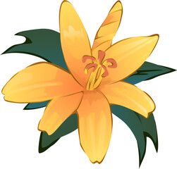 PNG flowers. Vintage floral elements Isolated botanical illustration for a wedding card.