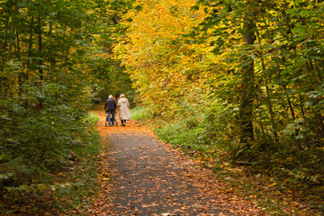 &Auml;lteres Paar beim herbstlichen Spaziergang mit Rollator auf einem laubbedeckten Waldweg im Rosental, Leipzig, Sachsen, Deutschland