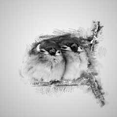 pencil scribbled illustration of a pair of birds on a tree stalk, on a white background