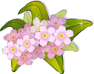 PNG flowers. Vintage floral elements Isolated botanical illustration for a wedding card.