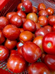 tomatoes on market