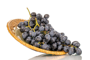 One sprig of sweet black grapes in a ceramic plate, macro, isolated on white background.