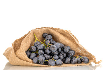 One sprig of sweet black grapes in a jute sack, macro, isolated on white background.