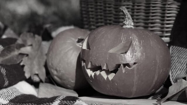A black and white video of a Halloween pumpkin with little smoke coming out of it. Halloween concept, still life in nature, part of the decor