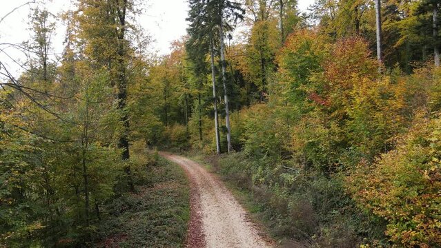 Donaubergland bei Tuttlingen