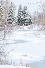 Winter scenics or landscape in a Toronto public park, Canada