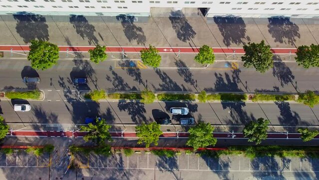 Top view of cars. Car traffic in the urban part of the city is lively. The drone flies from top to bottom, shooting at parked cars right along the street. Trees by the road. Zebra. Sidewalk 