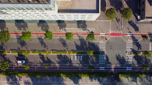 Top view of cars. Car traffic in the urban part of the city is lively. The drone flies from top to bottom, shooting at parked cars right along the street. Trees by the road. Zebra. Sidewalk 