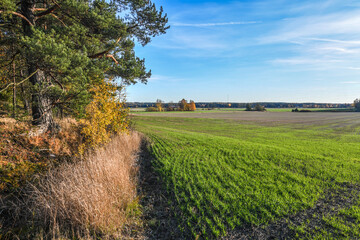 Fototapeta na wymiar Rural landscape on a sunny autumn day