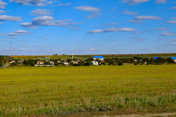 Fototapeta na wymiar yellow field on a blue sky background