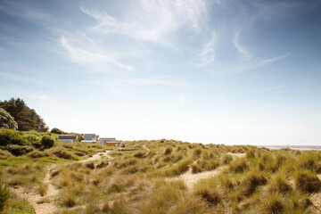 beach huts by the sea