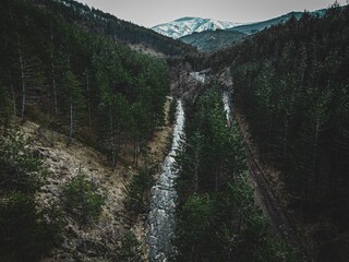 Beautiful coniferous  forest landscape with the creek view  and the mountain background, aerial