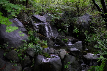 日本庭園の滝　Waterfall in Japanese Garden