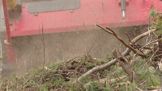 Wood Chipper in Action captures a wood chipper. Equipment for chopping wood, shrubs and stumps. Forest mulcher in the process of working in a forest area with trees. 

