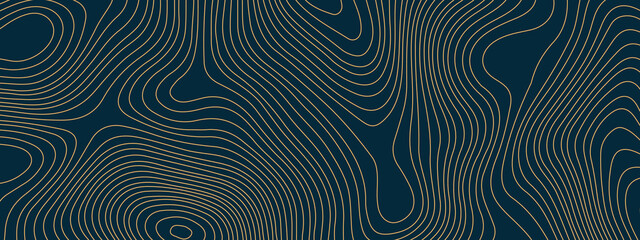 The stylized blue and orange wavy abstract topographic map contour, lines Pattern background. Topographic map and landscape terrain texture grid. Wavy banner and color geometric form. 