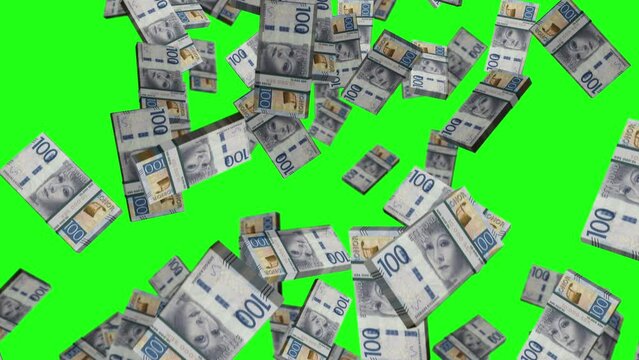 Swedish Krona 100 SEK banknote packs falling loop. Sweden money note fall. 3D seamless looped isolated abstract concept of economy, finance, crisis, success and banking. Green screen.