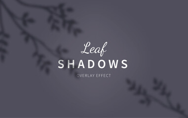 Plant leaf shadow background, flowers and leaves. Overlay shade natural texture, botanical elements mockup, dark fall wall. Banner template. Realistic floral backdrop. Vector illustration