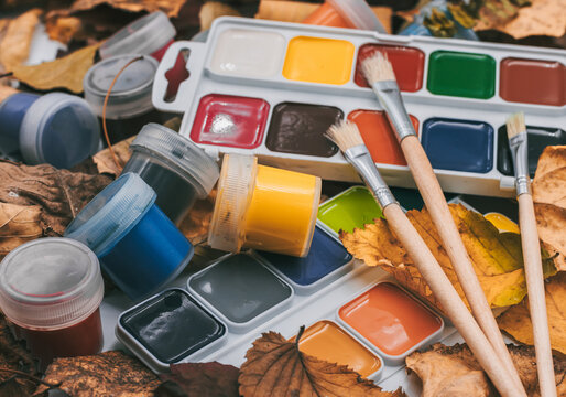 Set of watercolor paints and paintbrushes for painting closeup on the background of autumn leaves.