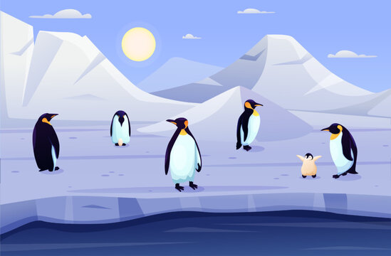 Penguin animals, antarctic cold landscape. Family in ice winter, cube of snow. polar Antarctic characters, wildlife nature, white arctic baby and parents. Vector design cartoon illustration