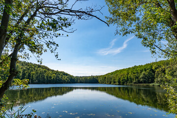 Fototapeta premium The Obersee lake of the ville chain of lakes in the summer near cologne bruehl in North Rhine-Westphalia, germany