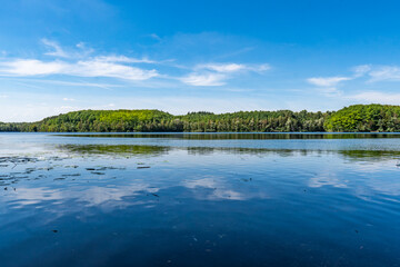 The Untersee or lower lake of the ville chain of lakes in the summer near cologne bruehl in North Rhine-Westphalia, germany