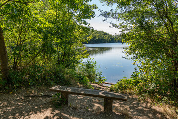 Wooden Bench at the Mittelsee or middle lake of the ville chain of lakes in the summer near cologne...