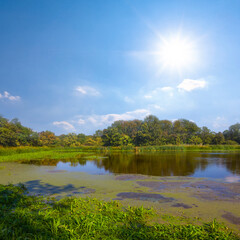 Fototapeta na wymiar small lake among forest at sunny summer day