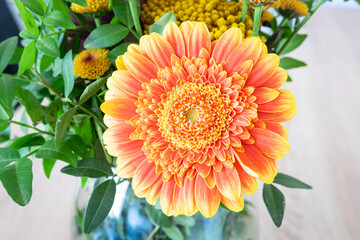 Gerbera flower with soft yellow and red colors