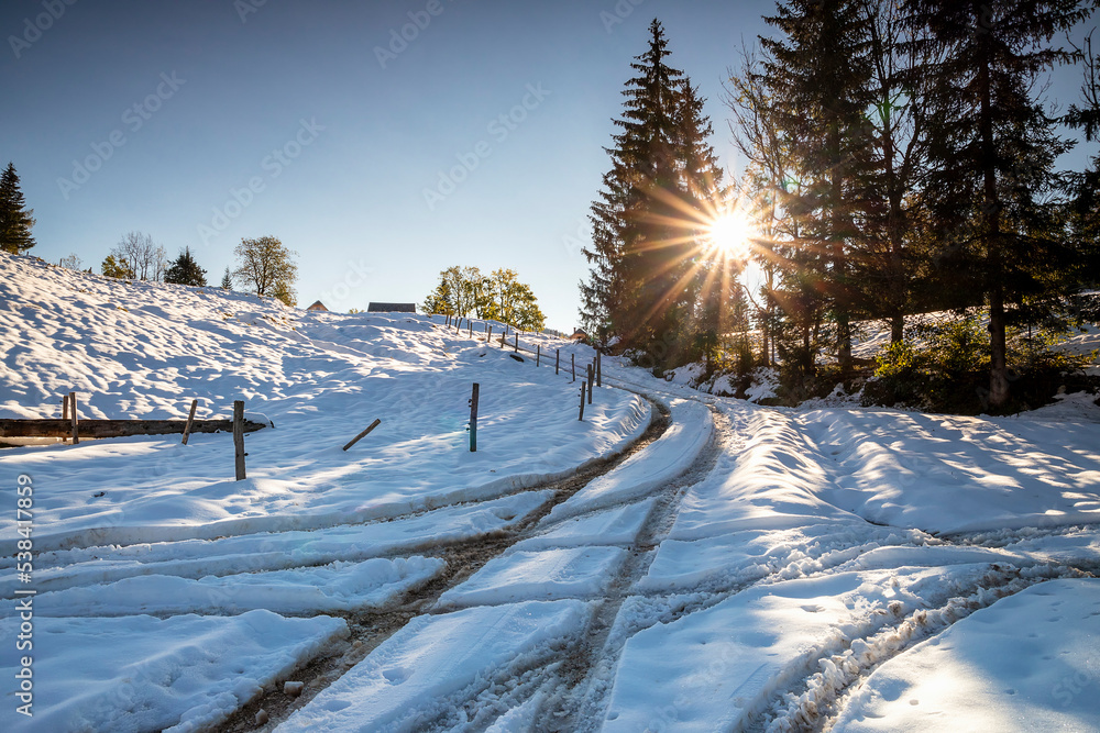 Poster rural road in East European village during winter