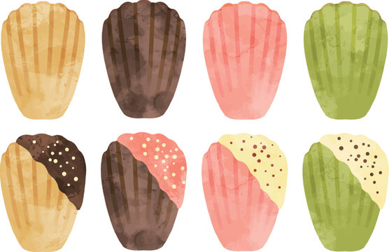 マドレーヌ の画像 12 1 件の Stock 写真 ベクターおよびビデオ Adobe Stock