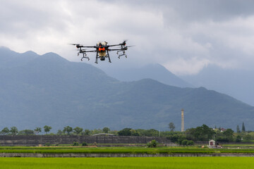 Fototapeta na wymiar Agriculture drone farming fly to spray fertilizer on the rice fields