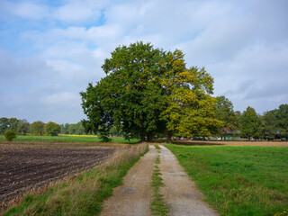 Landwirtschaft