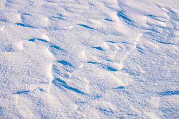 Background of fresh snow, blue shadows