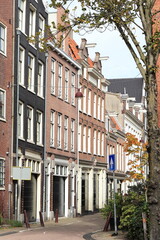 Amsterdam Langestraat Street View with Brick House Facades and Autumn Foliage, Netherlands