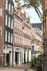 Obraz premium Amsterdam Langestraat Street View with Brick House Facades and Autumn Foliage, Netherlands